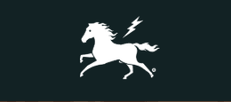 Oriental Films México, S.A. de C.V. logo