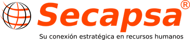 Servicios de Capital Humano CGM de México, S. de R.L. de C.V. logo