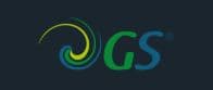 GS de México, S. de R.L. de C.V. logo