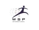 WSP International, S.A. de C.V. logo