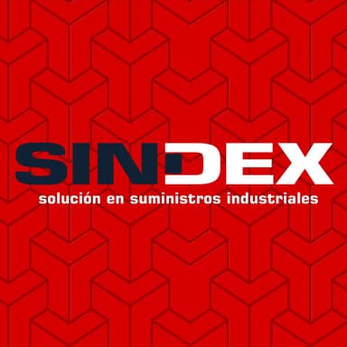 Sindex Proveedora del Bajío, S.A. de C.V. logo