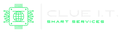 Clue I.T. Smart Services Ltda logo