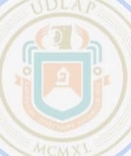 Fundación Universidad de las Américas Puebla logo