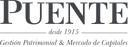 Puente Servicios de Inversion, S.A. logo