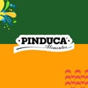 Pinduca Industria Alimenticia Ltda logo