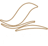 FLYN S.R.L. logo